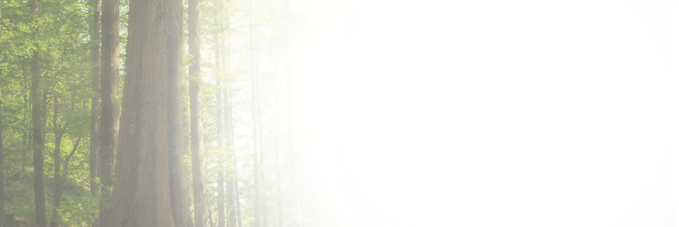 Green company with woodland background