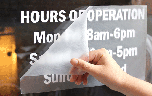 cut out vinyl being applied to window